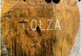 Visuel Colza copyright